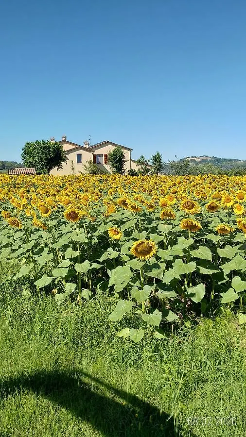 Apartment Agriturismo Vallelunga Ancona